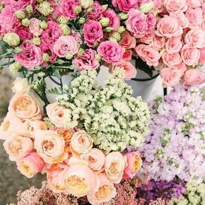 Meet your Posher, Michele